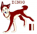 my version of dingo