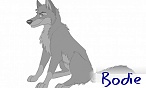 bodie