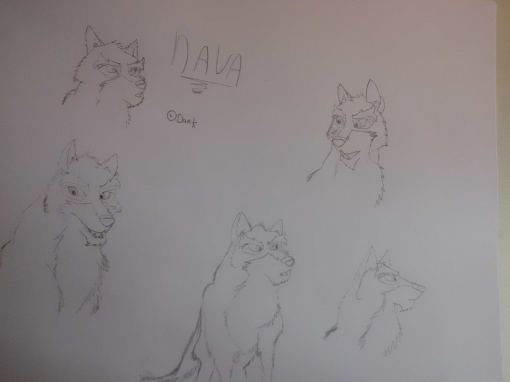Nava