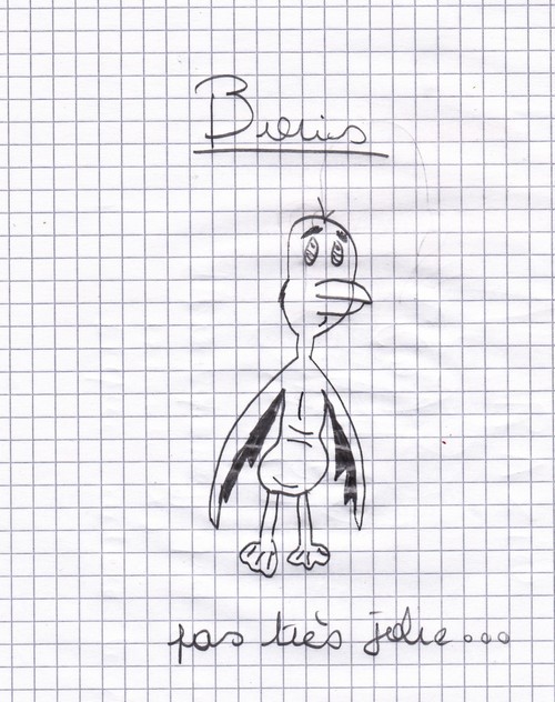 Mon dessin de Boris