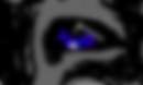 Wolf's Eye
