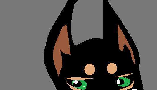 Mai eyeshot