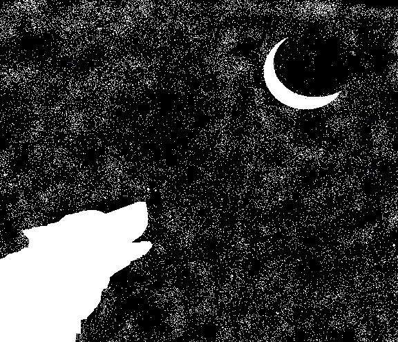 Stary Howl(Black and White)