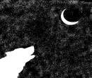 Stary Howl(Black and White)