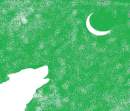 Stary Howl(Green and White)