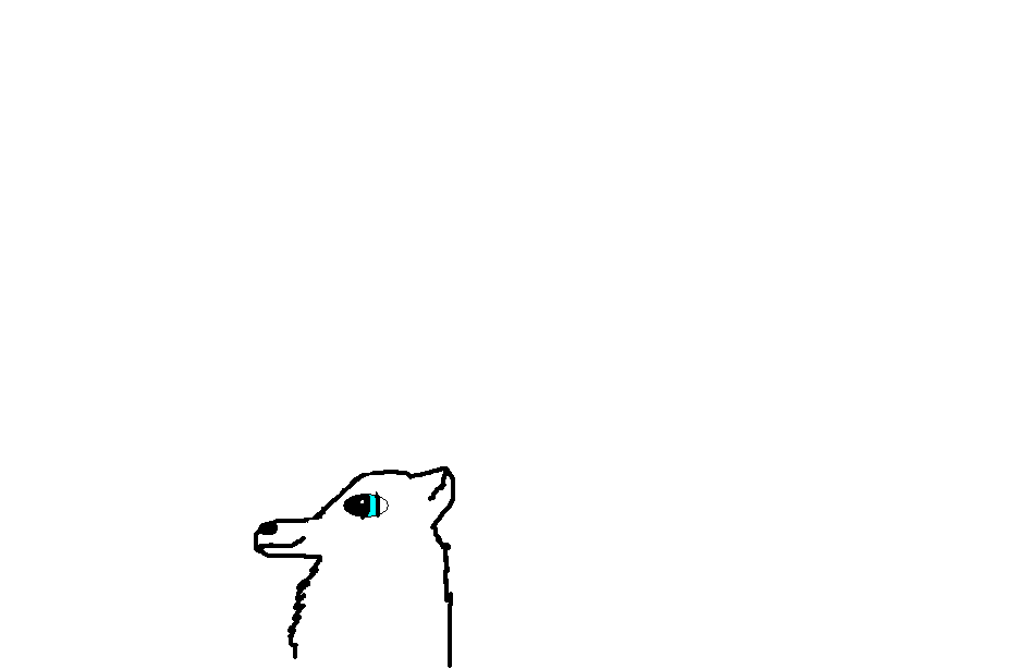 Seria's head