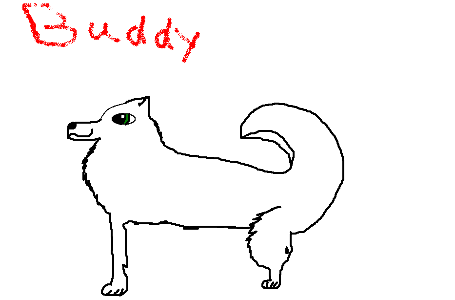 Buddy
