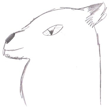 Ben