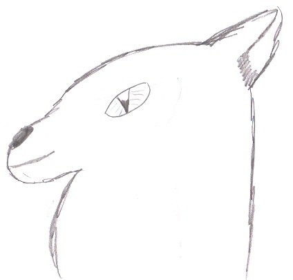 Tyke