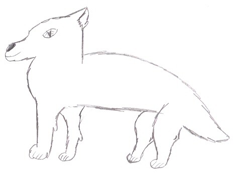 Tyke