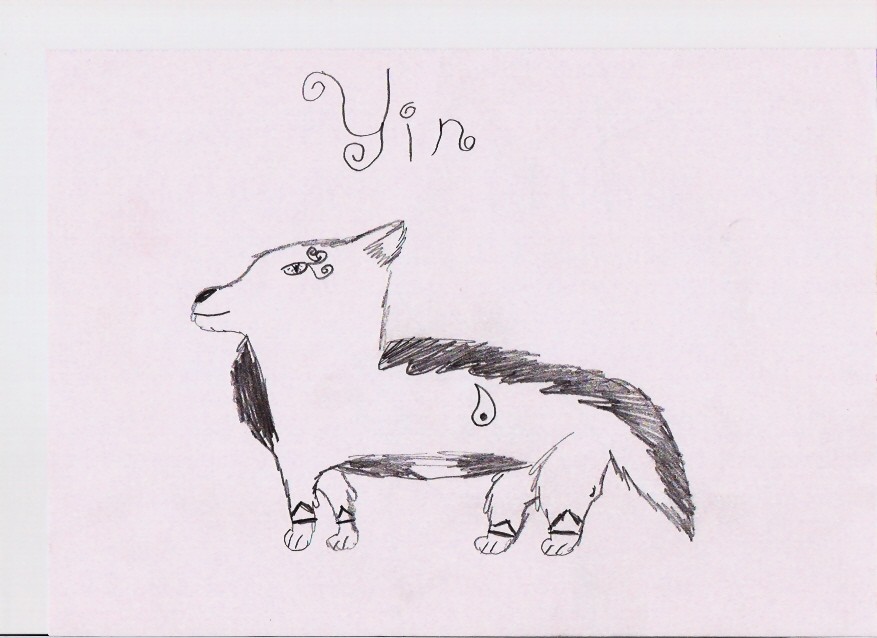 Yin