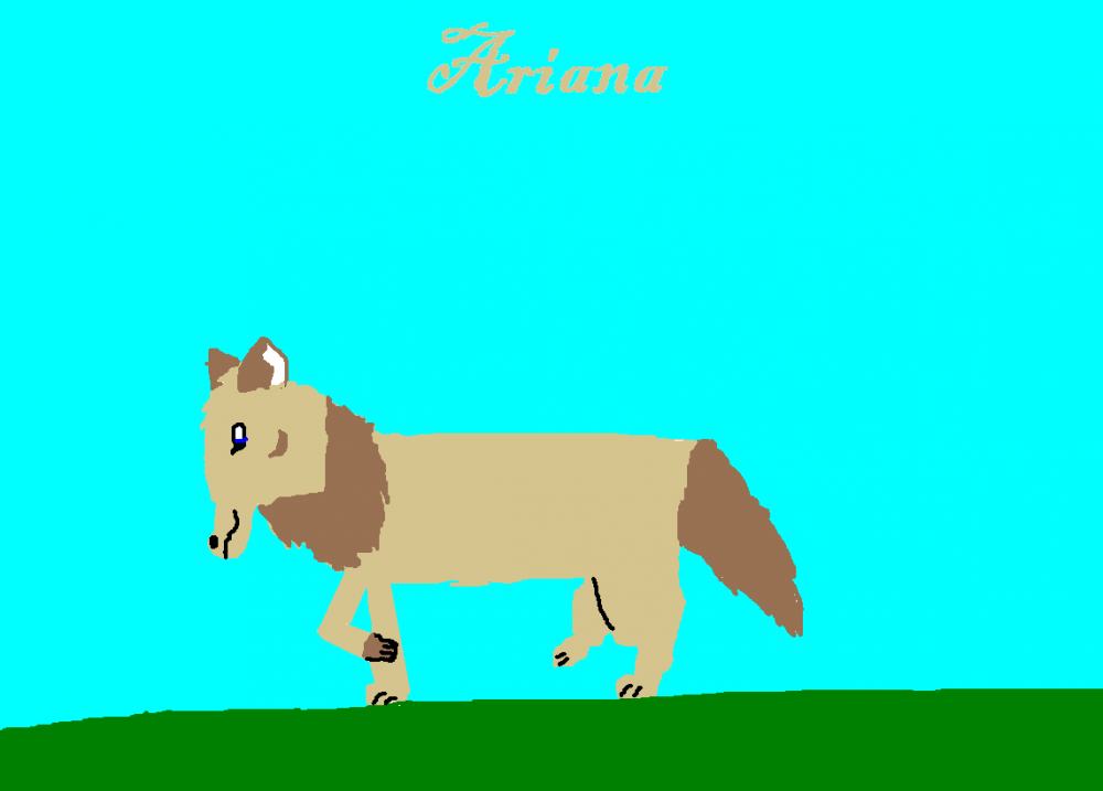 Intoducing......Ariana!