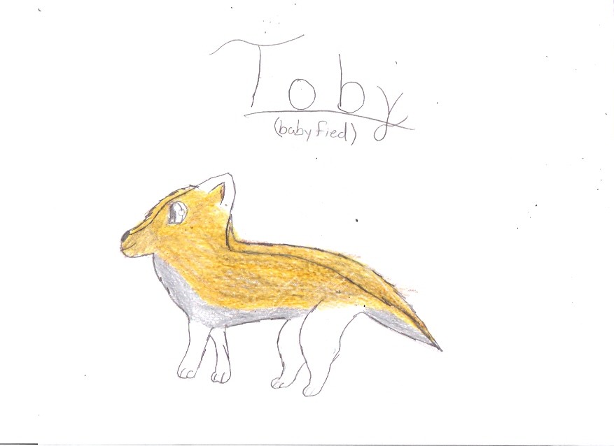 Baby Toby!