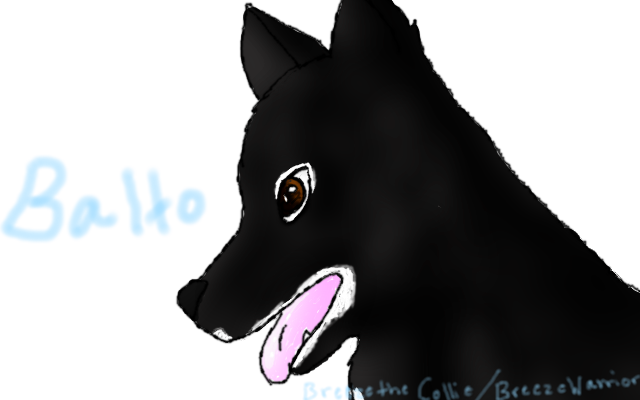 The Real Balto (practice)