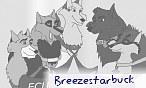 breezestarbuck