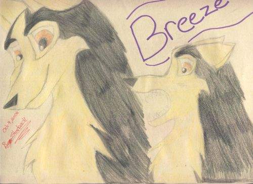 A quick Pic of my wolf ego Breeze