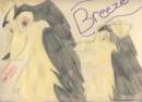 A quick Pic of my wolf ego Breeze