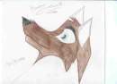 A Pic of Robin