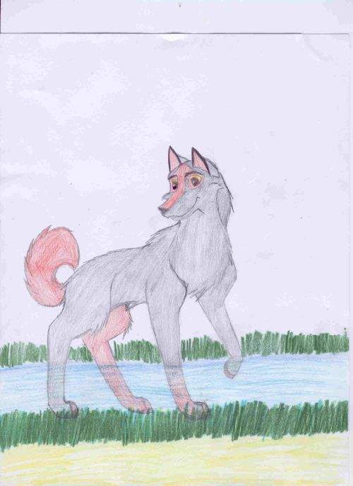 Flash of Balto and Jennas second litter.