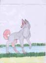 Flash of Balto and Jennas second litter.