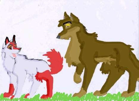 Finished Picture.