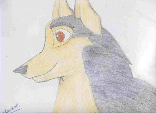 Headshot of Breeze