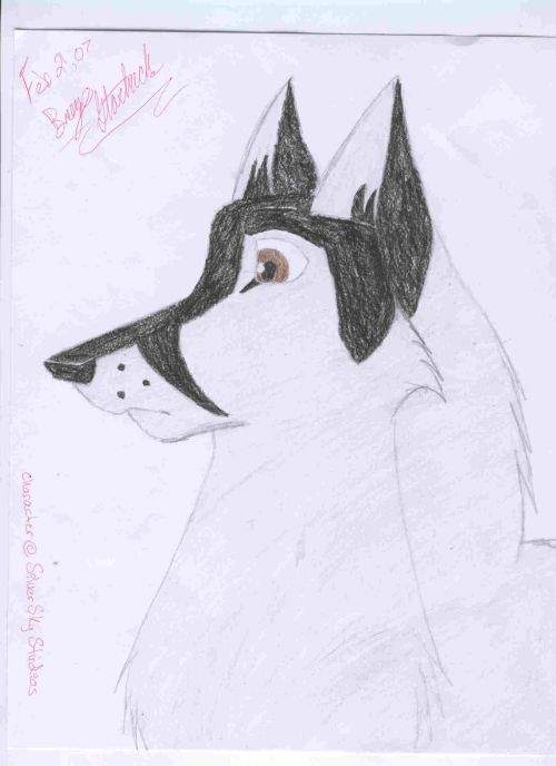 Young Shadow sketch