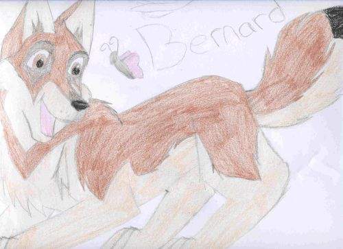 Another adopted char - meet Kinta