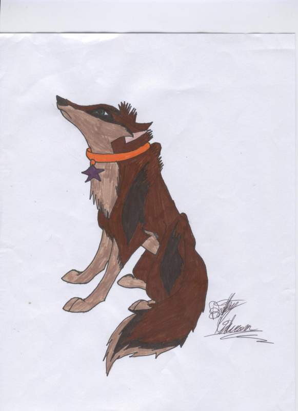 Torga