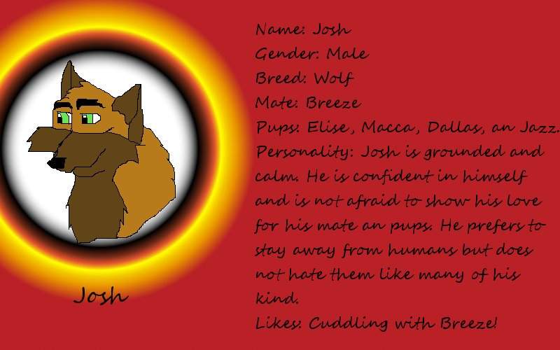 Josh profile