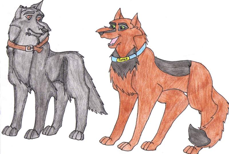 Jake and Sarge