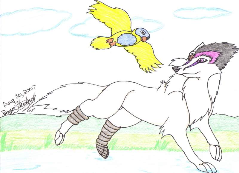 It's a bird, It's a plane, It's Deafwolf for wolf 