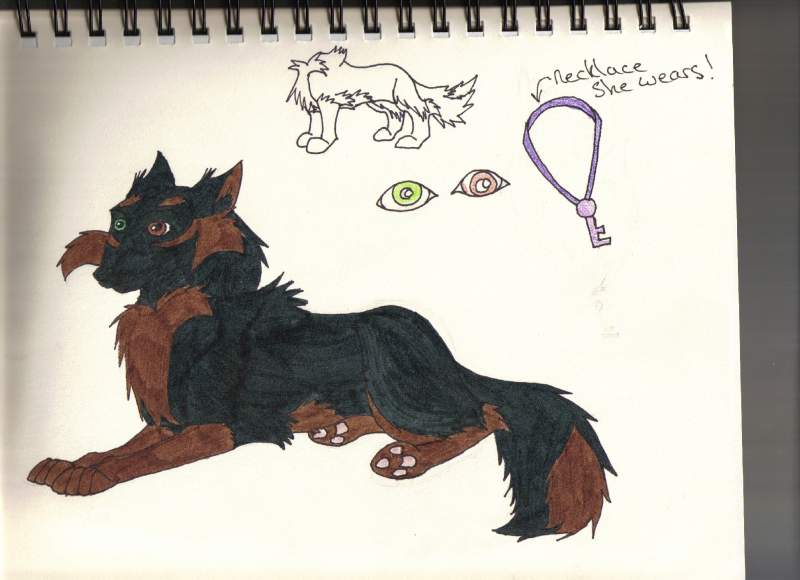 For Dakota's contest- Meet Halo