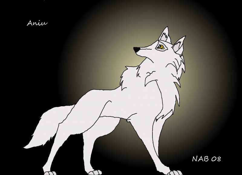 An Aniu version
