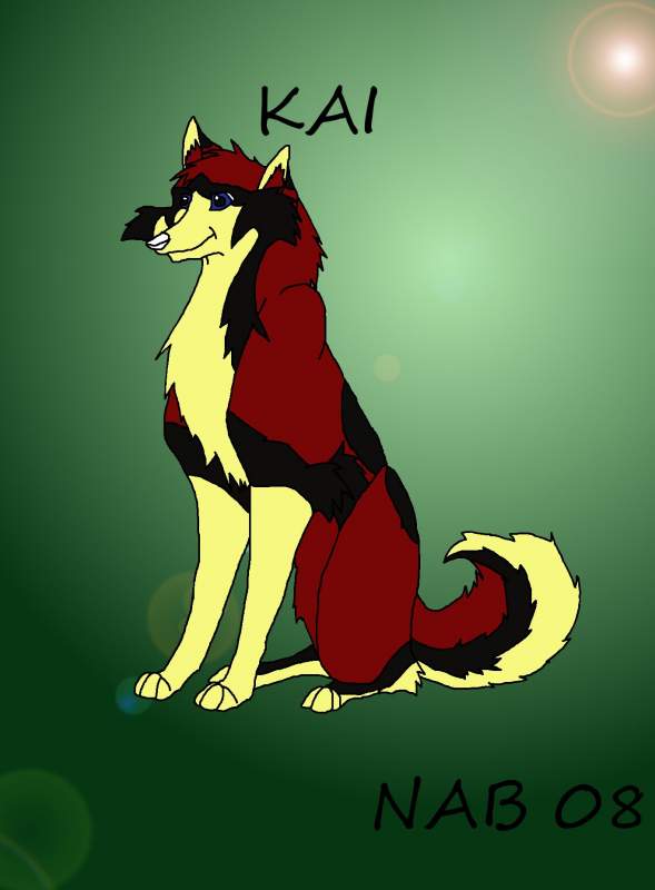 Kai - for Dakota