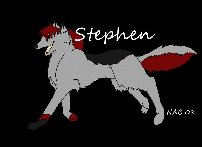 Stephen - for Dakotawerewolf