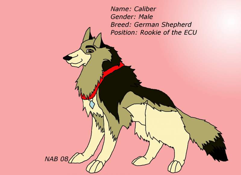 Caliber-character sheet