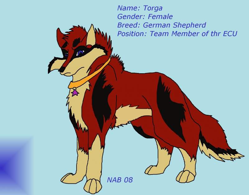 Torga-fixed