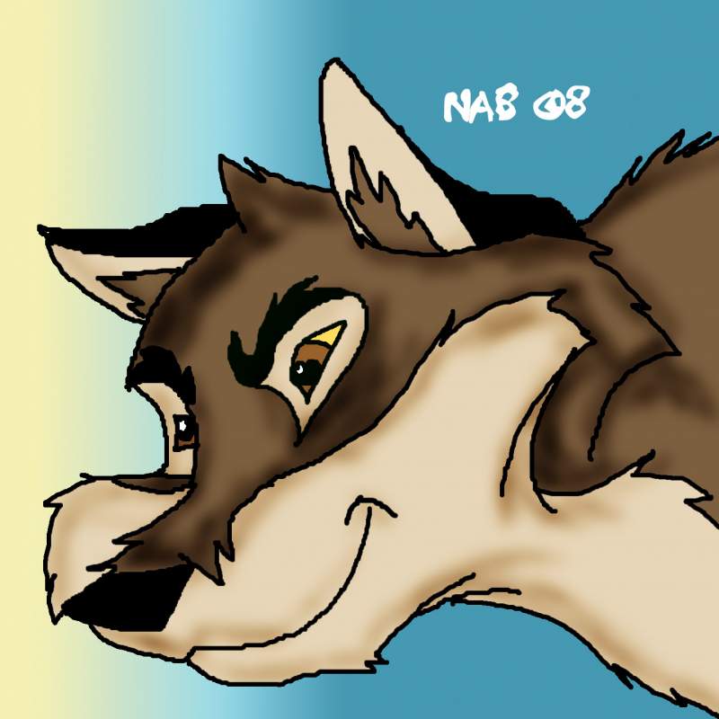 balto-practice
