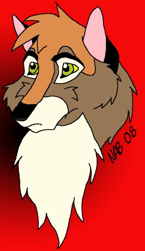 Riggly-headshot