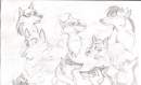 fan sketches for the movie wolf