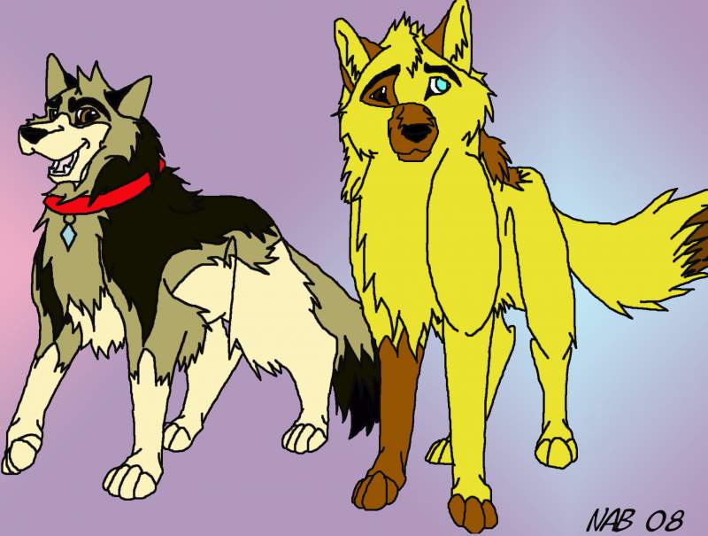 Sexy Shepherds