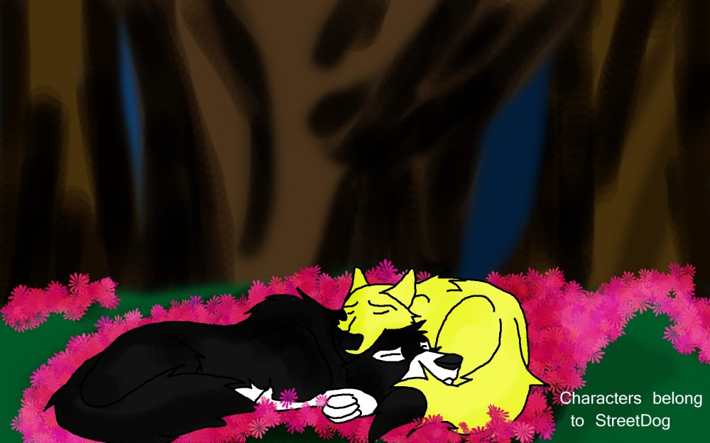 gift for street dog on the forums