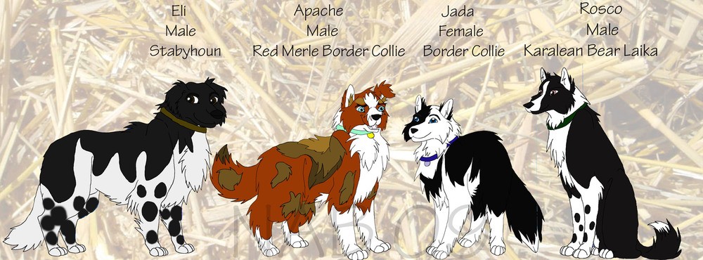 Some new chars