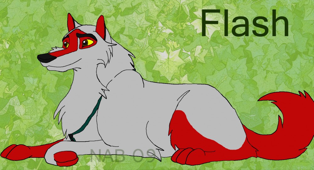 Flash