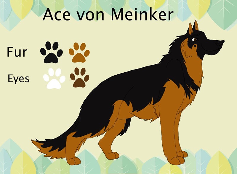 Ace Von Meinker