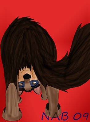 Peek