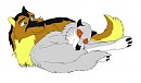 raff and storm