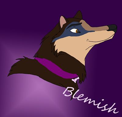 Blemish-new head shot