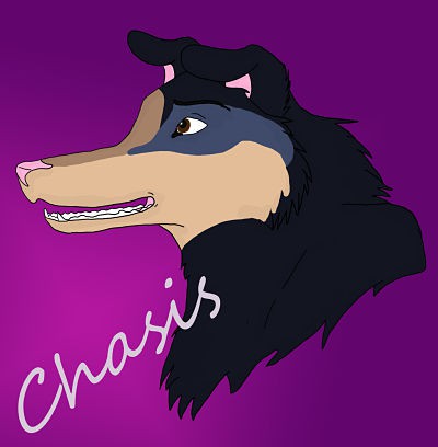 Chasis